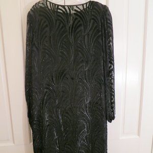 Shimmering  Sheer Cut Velvet Dress